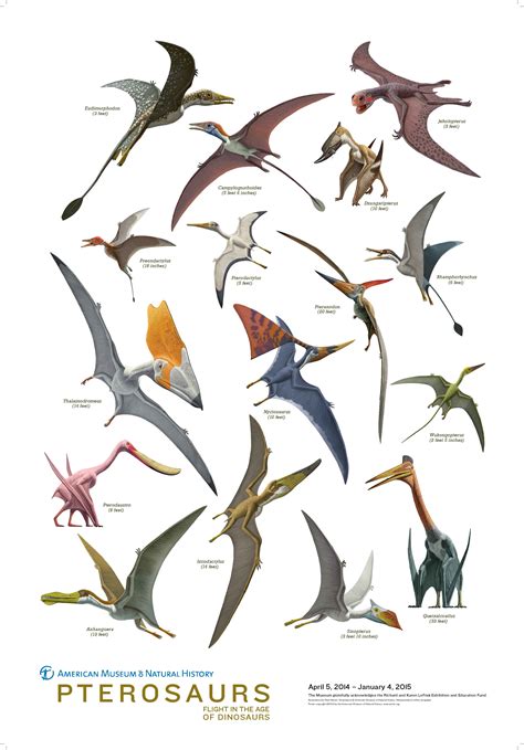 Living pterosaurs ("pterodactyls")? by Glen J. Kuban