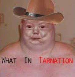 "tarnation" Meme Templates - Imgflip