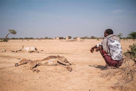 Is eastern Africa’s drought the worst in recent history? And are worse ...