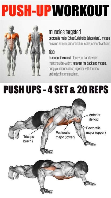 How to Get Bigger Arms With Push Ups - Fitness and Power | Push up ...