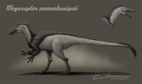 Megaraptor namunhuaiquii by c-compiler on DeviantArt