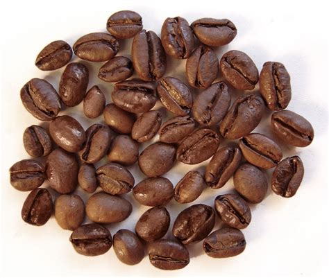4 Types of Coffee Beans & Taste: Arabica, Robusta, Liberica, Excelsa