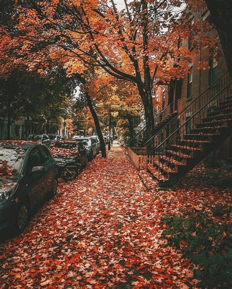 Fall photo challenge 30 fall photography ideas to give your instagram ...