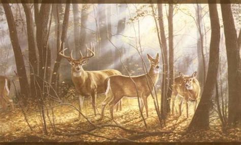 Whitetail Deer Wall Murals | decorated greek letters