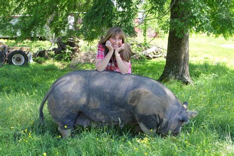 Winningest woman in BBQ breeds perfect pig for Memphis in May