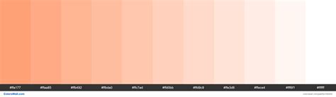 Butternut colors palette #ffa177, #ffaa85, #ffb492 - ColorsWall