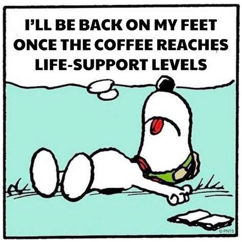 Pin by Scott on Coffee | Snoopy quotes, Snoopy funny, Coffee humor