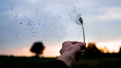 Música clásica: El sonido del viento