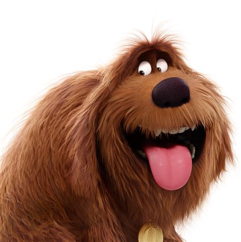 What Dog Breed Is Duke From Secret Life Of Pets