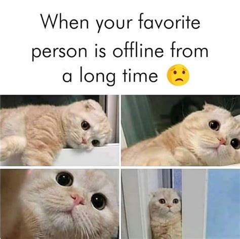 53 Sad Memes When Life Is Getting You Down and You Need a Laugh