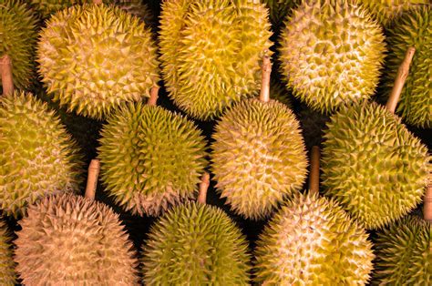 Where is my Kadayawan Durian? – NIC GOES ONLINE