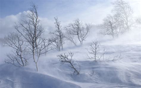 Snowstorm wallpapers and images - wallpapers, pictures, photos