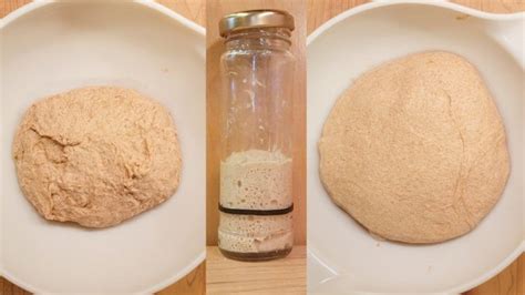 Basic Whole Wheat Yeast Bread – Breadtopia