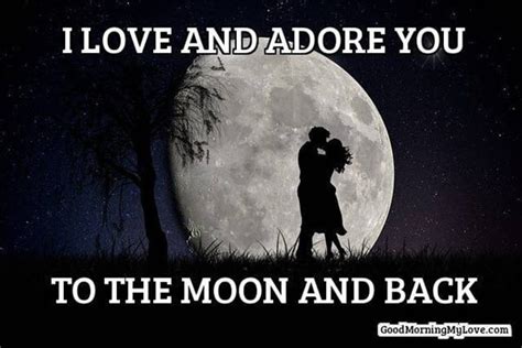 35 Best Romantic Memes For Your Loved One - SayingImages.com