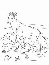 Free Printable Goat Coloring Pages For Kids sketch template