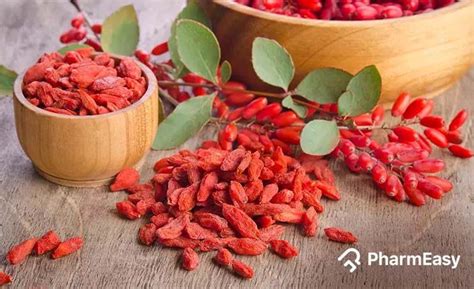 Goji Berry: Uses, Benefits, Side Effects By Dr. Rajeev Singh - PharmEasy Blog