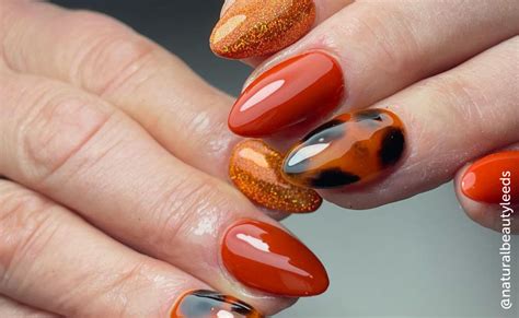 Fall Nail Designs 2024 Simple - Lexi Shayne