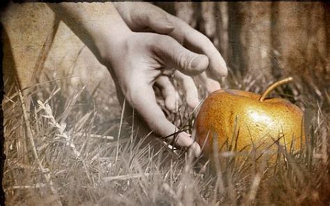 Golden Apple | Greek gods and goddesses, Atalanta, Golden apple