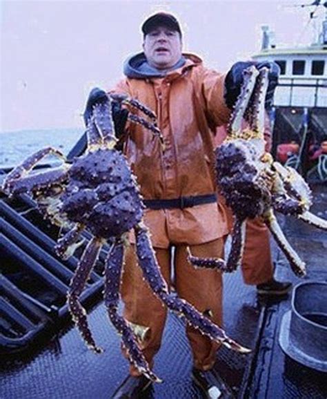 30 Of The Craziest Things You Never Knew Existed In Alaska | Crab, Alaskan king crab, King crab legs