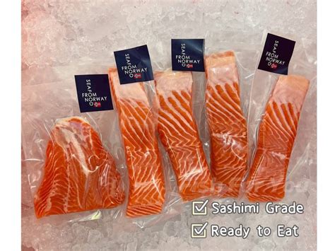 Norwegian Fjord Trout Salmon Fillet 挪威鳟鱼鱼肉 500G to 600G 3 PCS – Fish For You