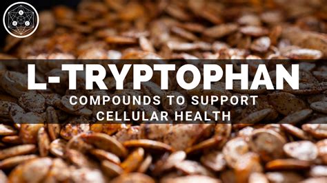 L-Tryptophan: Sources and Benefits