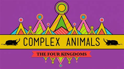 Complex Animals: Annelids & Arthropods - CrashCourse Biology #23 - YouTube