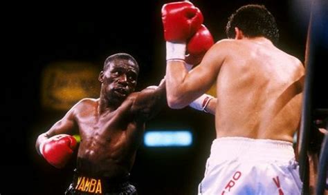 May 13, 1989: Chavez vs Mayweather II "The Lion Of Culiacán" Defeats "The Mexican Assassin"The ...