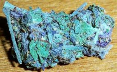 blue weed on Tumblr