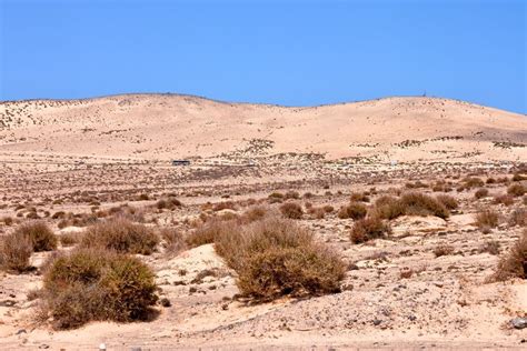 Dry Desert Landscape Stock Photo - Image: 63139274