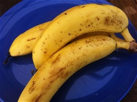 Pros of Genetically Modified Bananas - GM Crops: Bio-fortified Bananas