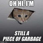 Ceiling Cat Meme Generator - Imgflip