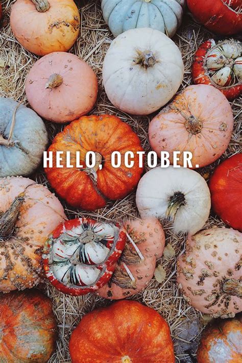 [100+] Hello October With Pumpkin Wallpapers | Wallpapers.com