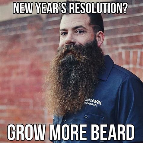 50 Funny Beard Memes That'll Definitely Make You Laugh