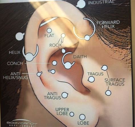 Pin by Kennedy Stickler on Peircings | Types of ear piercings, Different ear piercings, Forward ...