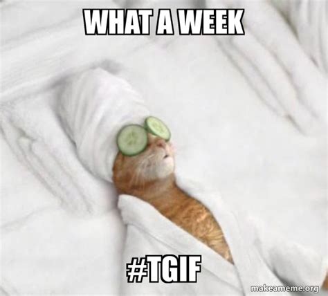 WHAT A WEEK #TGIF - Pampered Cat Meme Meme Generator