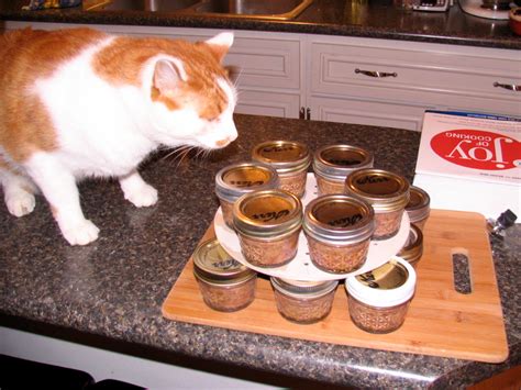 an orange and white cat sitting on top of a counter next to jars filled with food