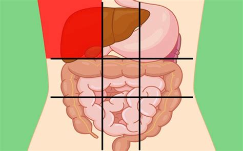 Vị trí đau bụng cảnh báo bệnh gì? | Vinmec