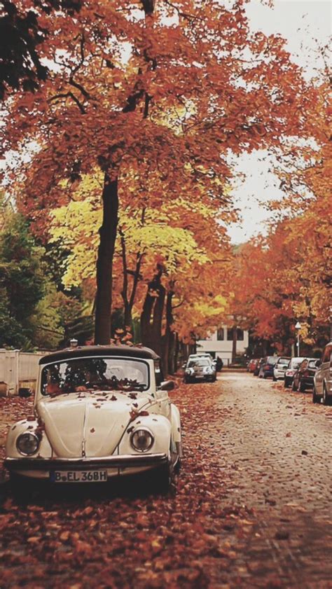 It's always Autumn | Fall wallpaper tumblr, Iphone wallpaper fall, Fall ...