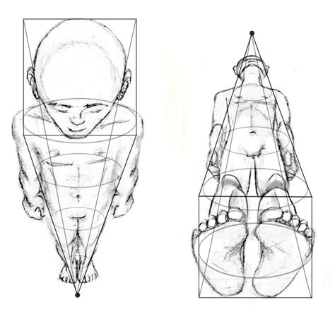 Drawing the Human Figure: Perspective & Foreshortening | hubpages