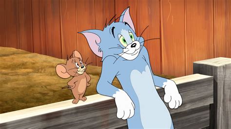 Tom and Jerry | Tom, jerry funny, Tom, jerry, Funny moments