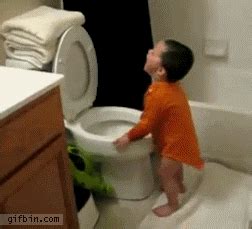 Toilet GIF - Find & Share on GIPHY