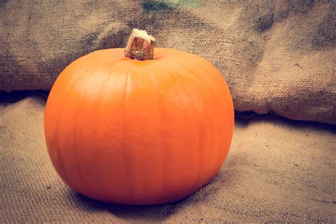 Pumpkin On The Jute Background Free Stock Photo - Public Domain Pictures