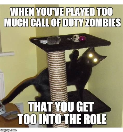 Zombie Cat - Imgflip