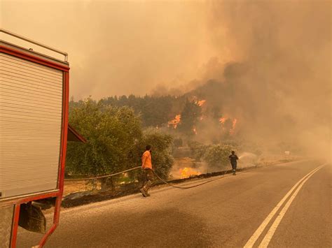 Fires in Greece Leave Ruins and Devastation Behind - GreekReporter.com