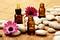 Top 10 Aromatherapy Oils for Treating Chronic Pain - Dr. Luis Fandos-NY - Medium