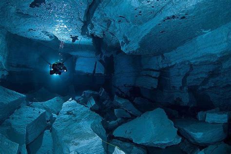 Exploring the vast unknown. #scubadivingtrippictures | Underwater photography, Underwater world ...