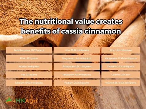 Top 5 Benefits Of Cassia Cinnamon Wholesalers Need To Know