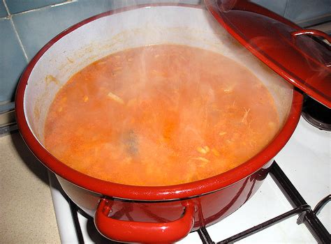 Descubrir 69+ imagen sopa de gato receta - Abzlocal.mx