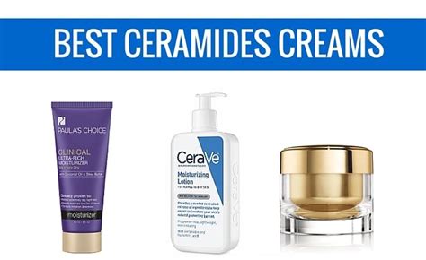 Are Ceramides The Key To Healthy Skin? | Healthy skin cream, Skin ...