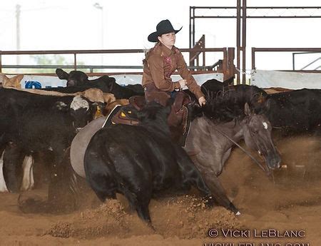 Bowen Cutting Horses | Bowen Cutting Horses